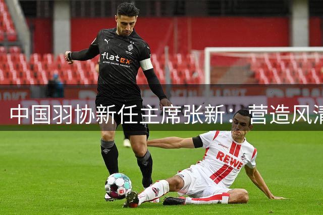 中国羽协新任主席张新：营造风清气正环境 聚焦奥运备战为国争光